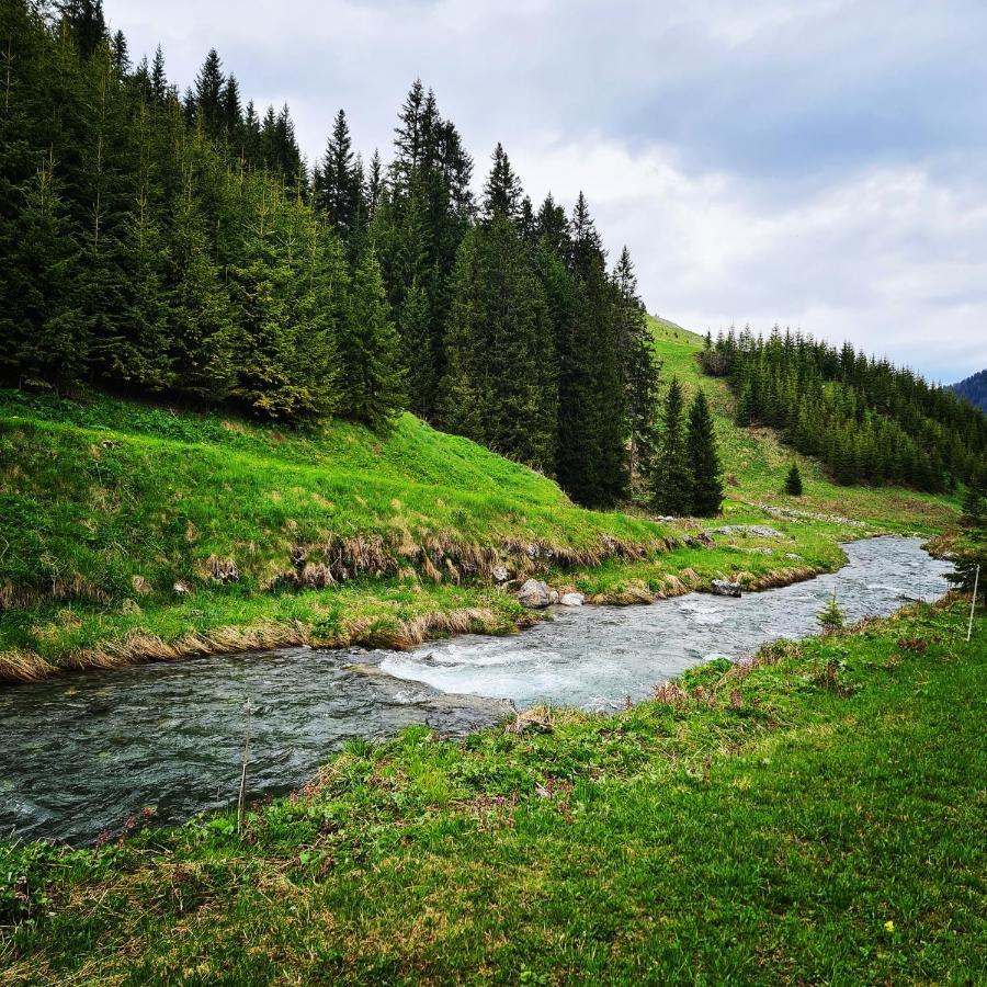 Fewo D'Rock Arosa- Center Of Nightlife By Nature Apartments Switzerland Eksteriør bilde