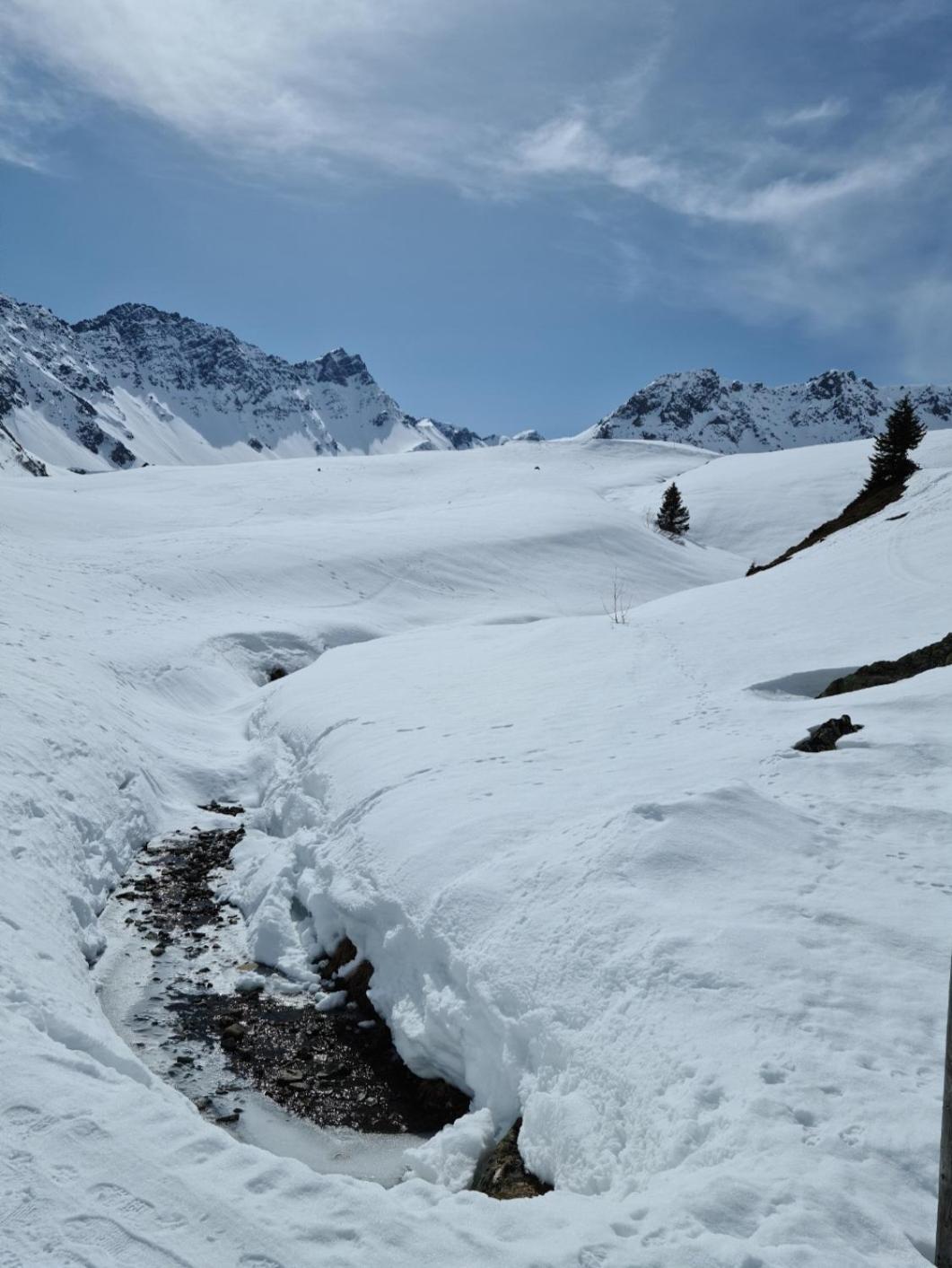Fewo D'Rock Arosa- Center Of Nightlife By Nature Apartments Switzerland Eksteriør bilde
