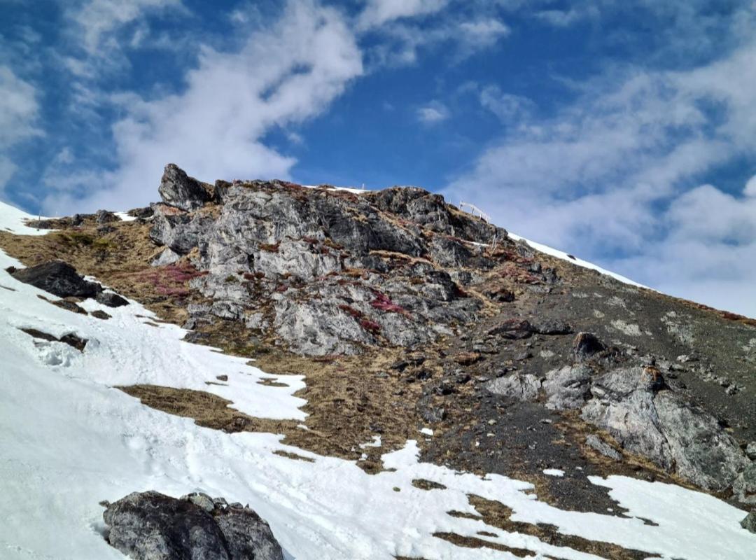 Fewo D'Rock Arosa- Center Of Nightlife By Nature Apartments Switzerland Eksteriør bilde