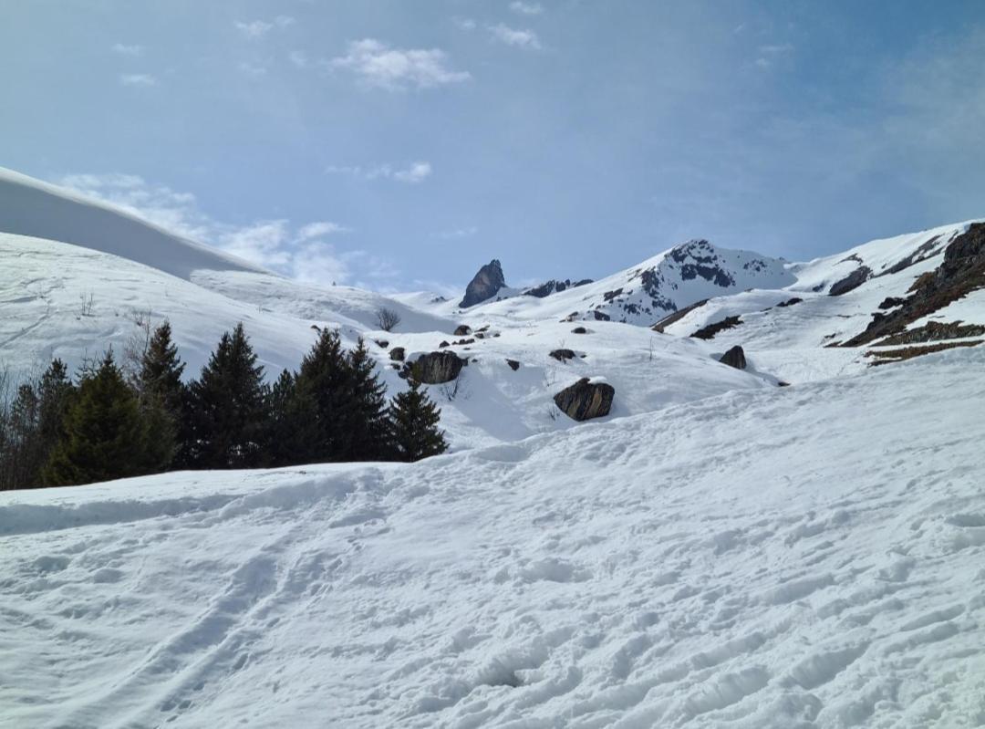Fewo D'Rock Arosa- Center Of Nightlife By Nature Apartments Switzerland Eksteriør bilde